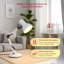 Alorie Adjustable Desk