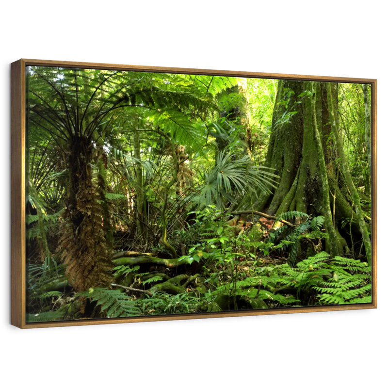 Jungle Ferns Forest, Cadre flottant doré, 37 po x 25 po