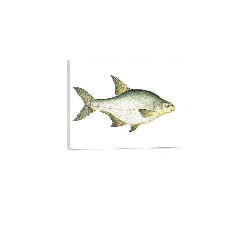 Art antique sur toile sans cadre 24 po x 18 po