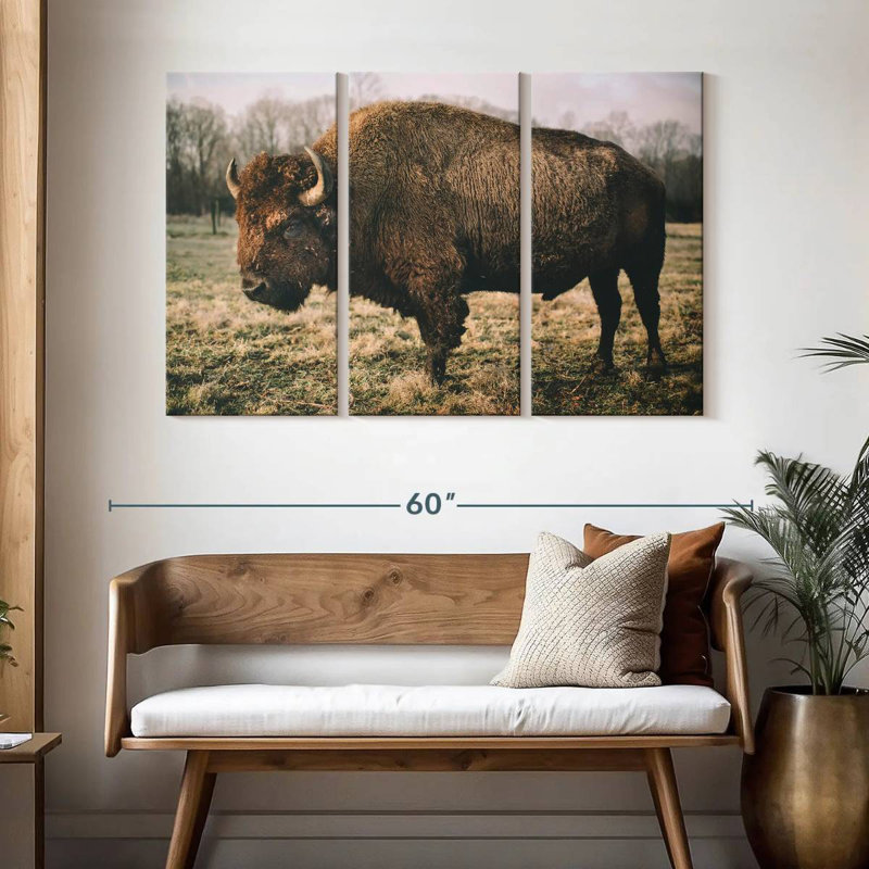 Brampt Solitary Bison IV, 32" H x 50" W