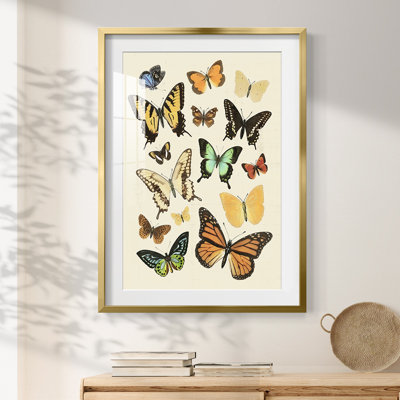 Dougles -Gallery Wrapped Canvas