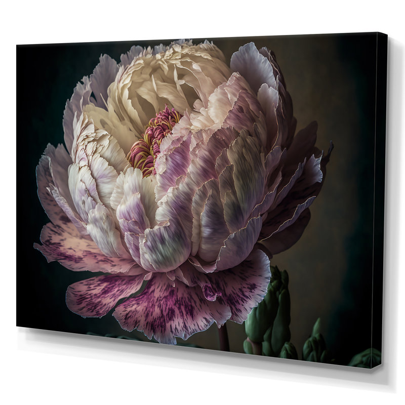 «Blossoming Pink and White Peony II», reproduction sur toile, H 24 po x l 32 po x P 1 po, Toile tendue