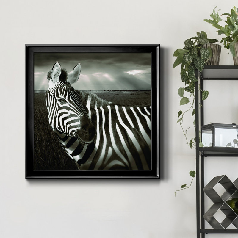 Zèbre au Kenya - Cadre photo, impression sur toile, H 26,5 po x l 26,5 po x P 1,5 po, Cadre noir