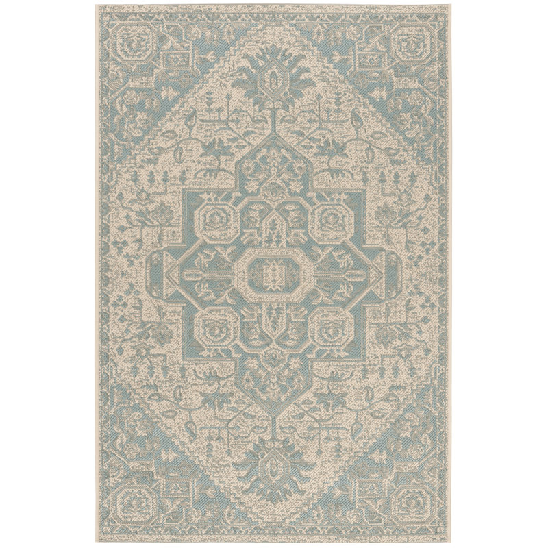 Danya Aqua/Cream Indoor/Outdoor Area Rug, Rectangle 2'2" x 4'