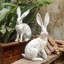 Figurines & Sculptures Decoration
