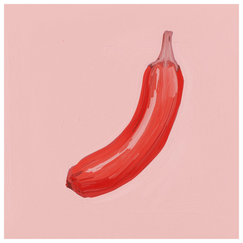 Rideaux de douche Banana Illustration, L 70 po x H 84 po