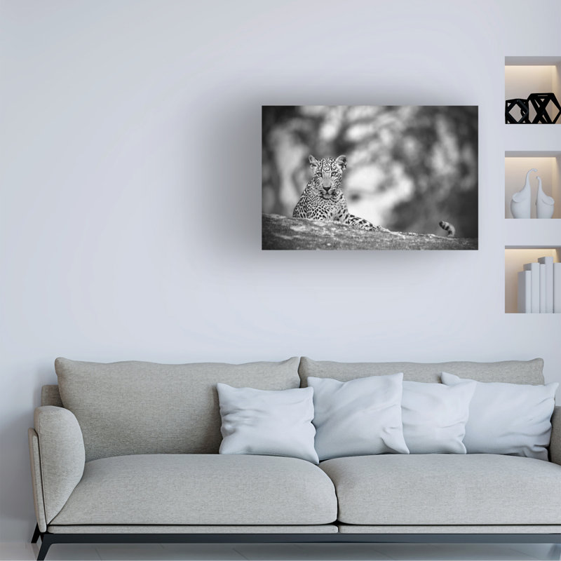Art sur toile Anura Fernando, H 12 po x l 19 po
