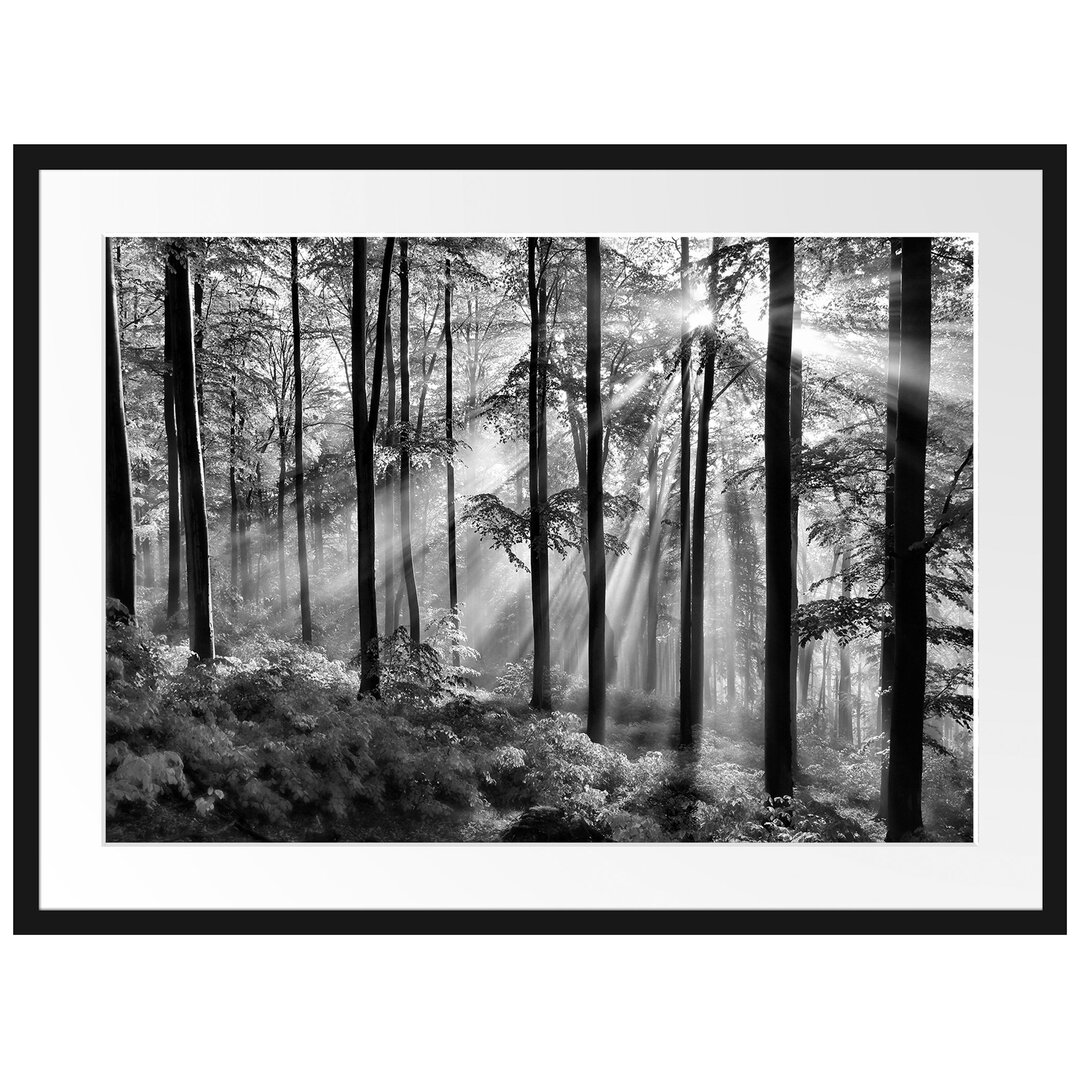 Gerahmtes Poster Sonnenstrahlen im Wald