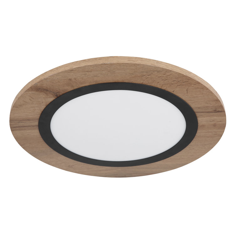Terrin Plastic LED Flush Mount