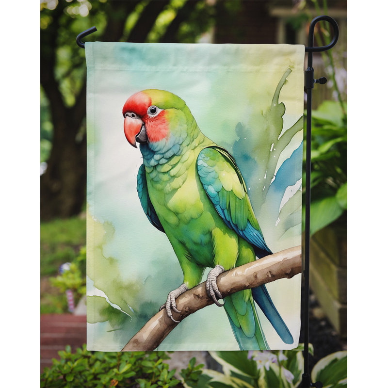 Drapeau de jardin, Perroquet africain