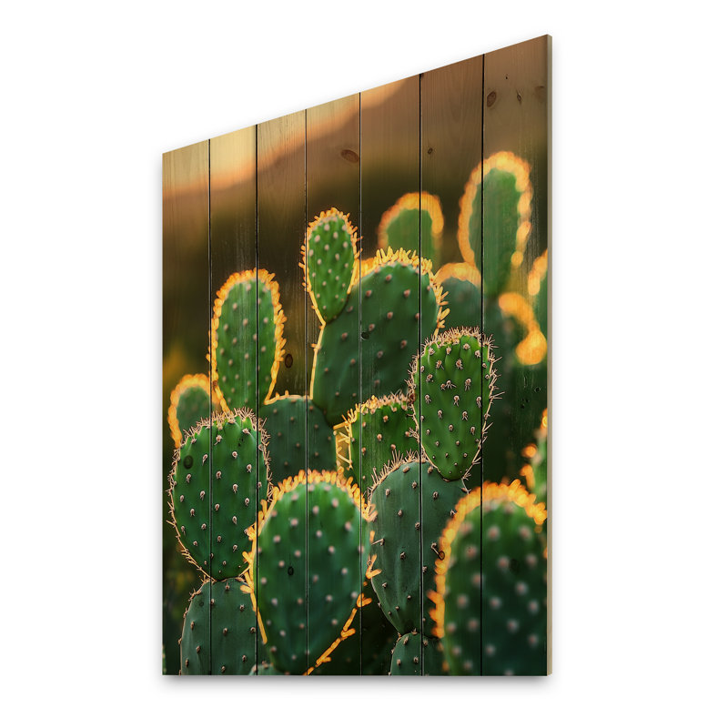 Cactus dans la lumière du matin II - Décoration murale en bois de cactus floral - sur bois de pin naturel