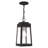 Antionetta Outdoor Hanging Lantern-448062609