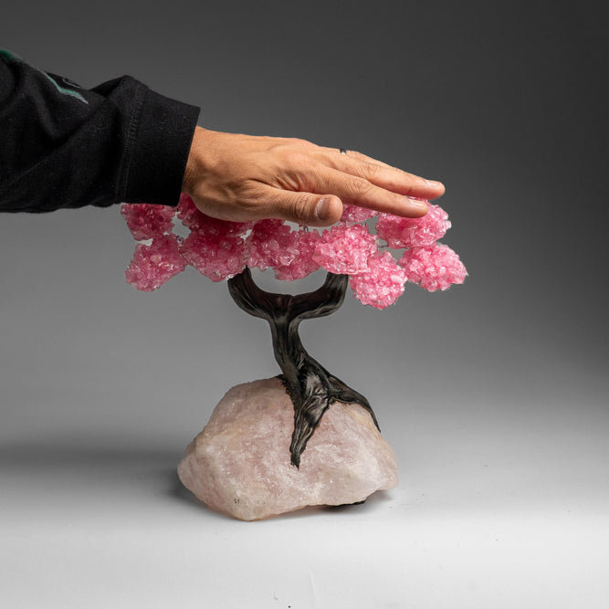 Custom - Genuine Rose Quartz Clustered Gemstone Tree On Rose Quartz Matrix (Unconditional Love Tree)