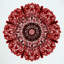 Crimson Radiance