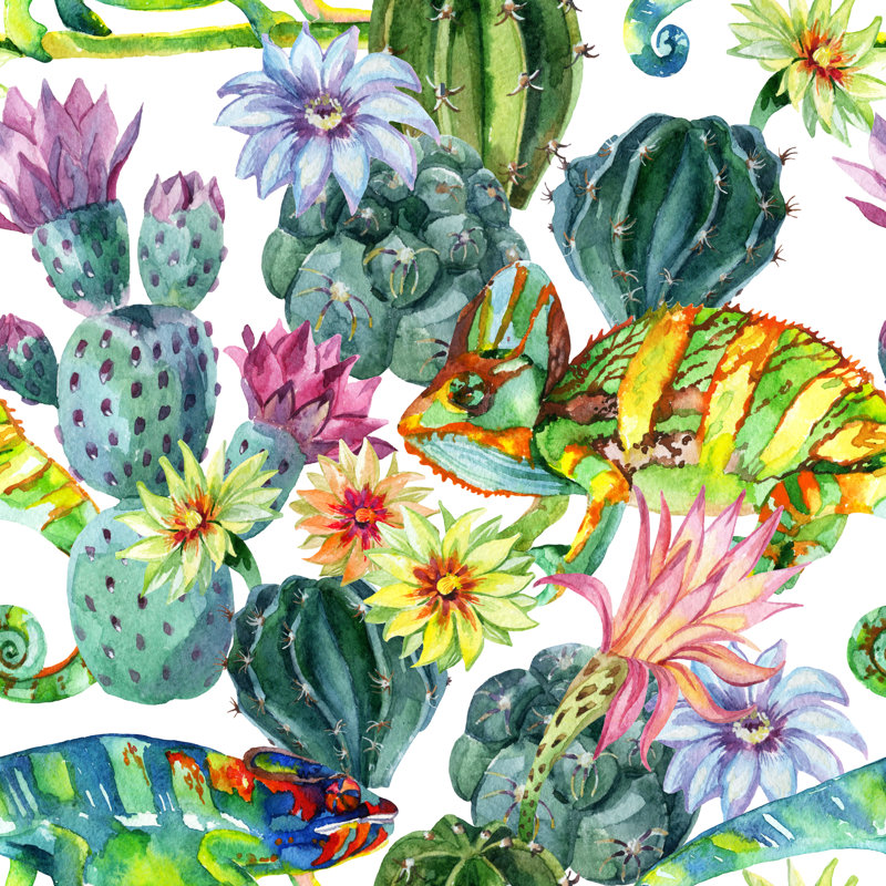 Shameeza Watercolour Cactus - Wrapped Canvas Print, 51cm H x 51cm W 3.8cm D