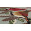 Tapis de cuisine Ansis-267104066