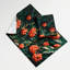 Tapisserie murale «Fruit Buffalo Berry»-133649015