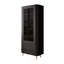 Display Cabinet