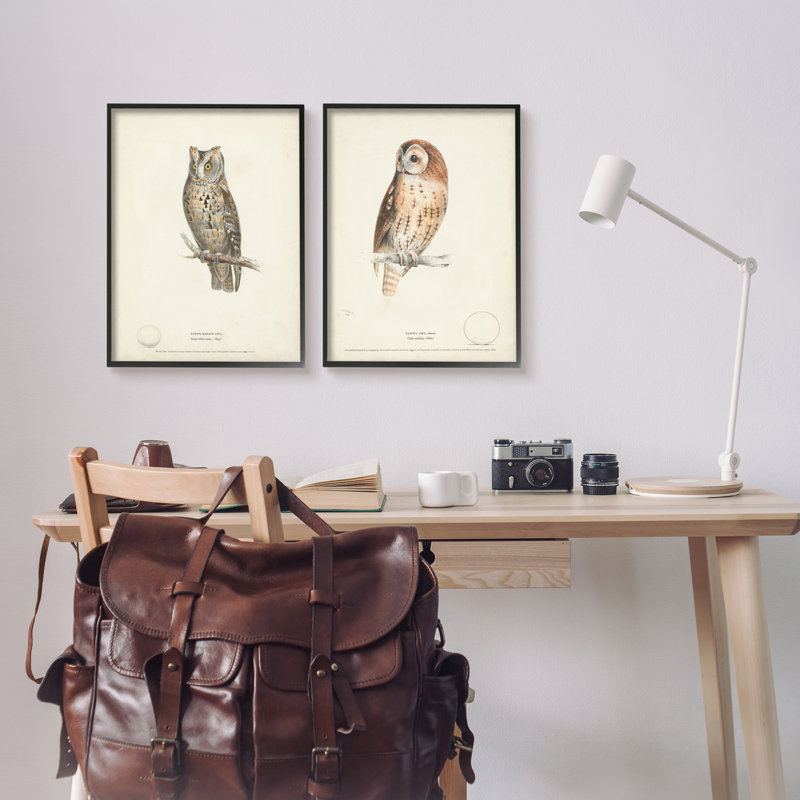 Owl Breeds, H 20 po x l 16 po x P 1,5 po, Giclée encadrée noir minuit