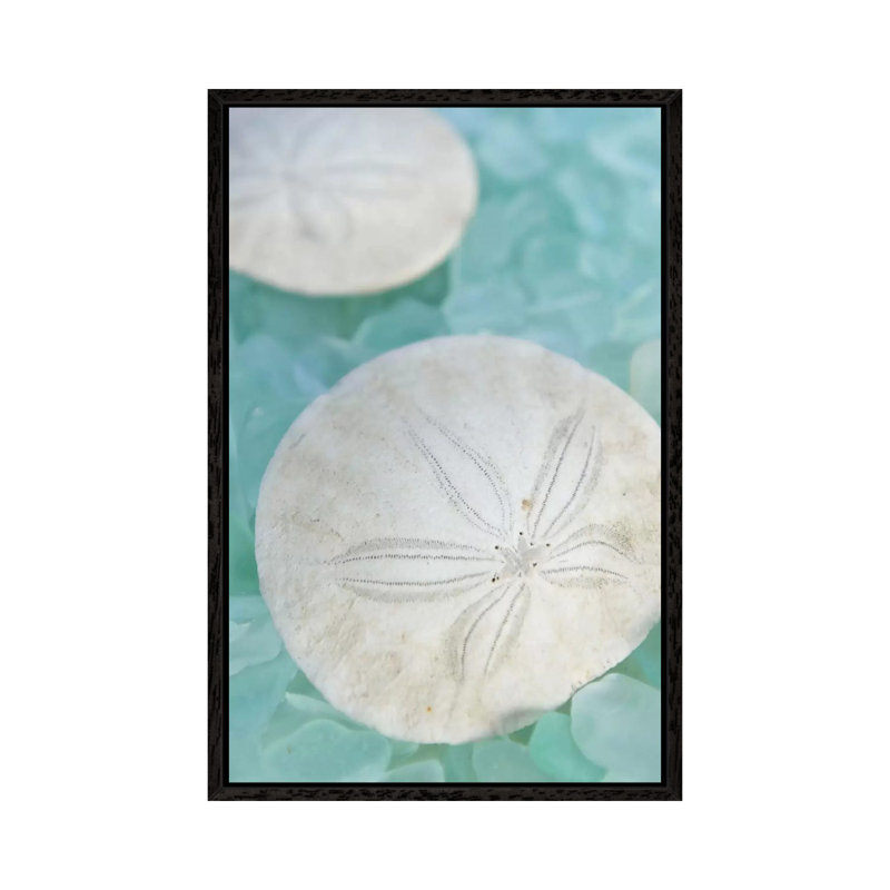 Alan Blaustein - Wrapped Canvas Print, 101.6 cm H x 66.04 cm W, Black Floater Framed
