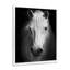 Cheval, reproduction d'art sur toile, cheval noir et blanc-1375218642-1427135192-1427135184