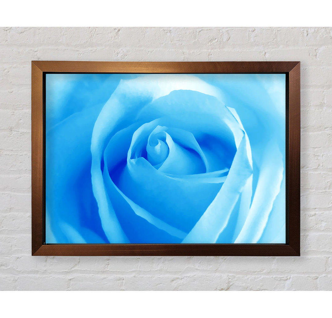 Baby Blue Rose Gerahmter Druck