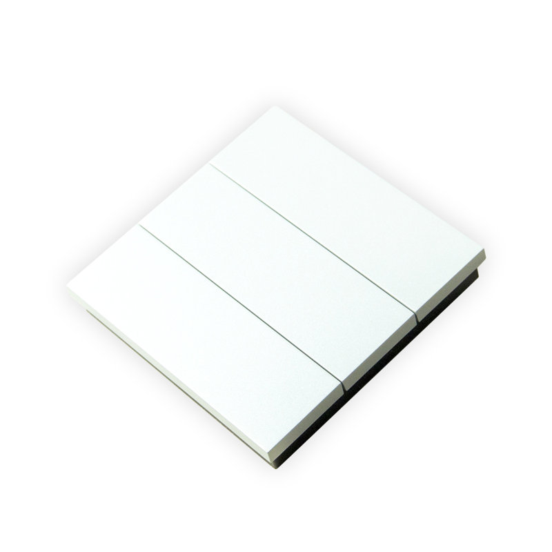 Alicemarie Wall Mounted Light Switch