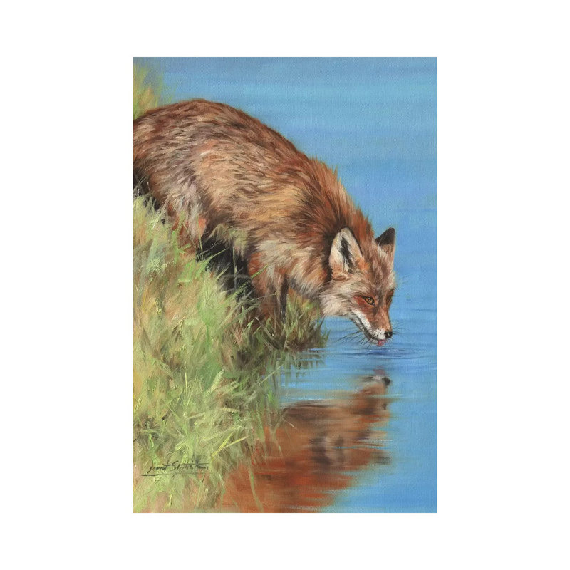 Fox Drinking At River 1 Piece Wrapped Canvas Wall Art, 101.60cm H x 101.60cm W