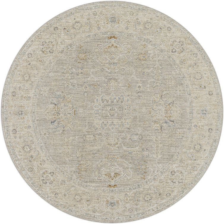 Aiello Oriental Indoor Rug