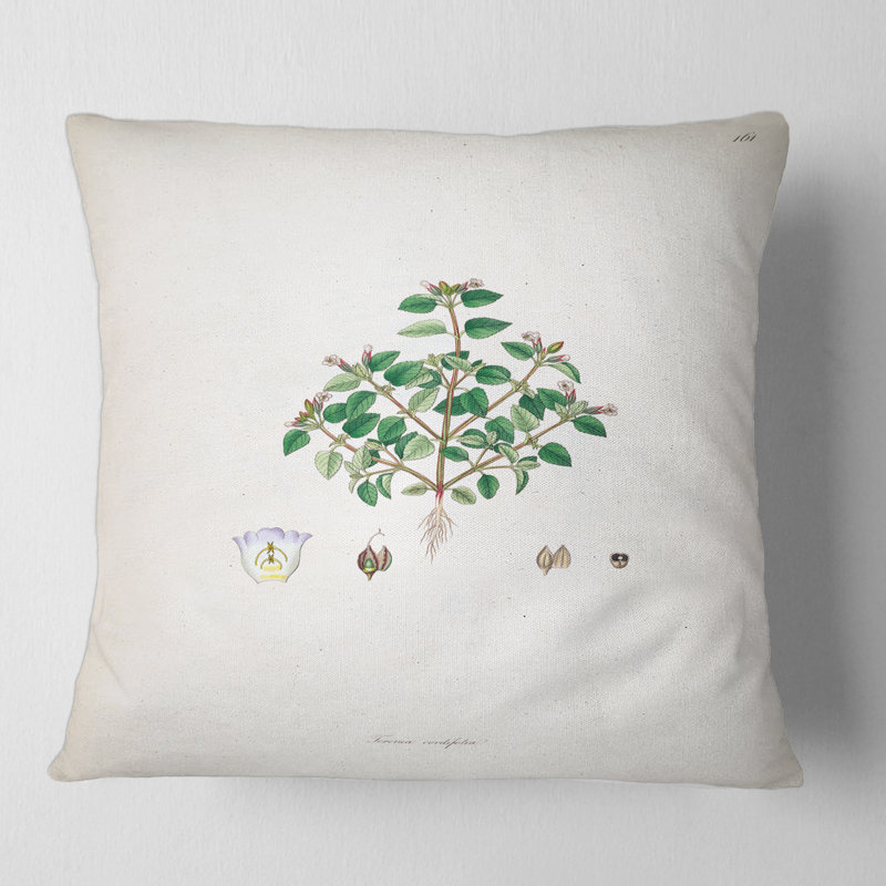 Coussin Vintage Plant Life, 16" x 16"