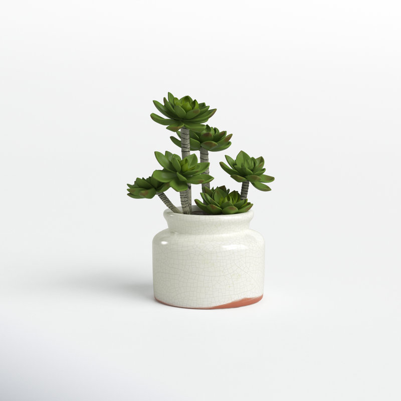 11'' Faux Succulent in Ceramic Pot