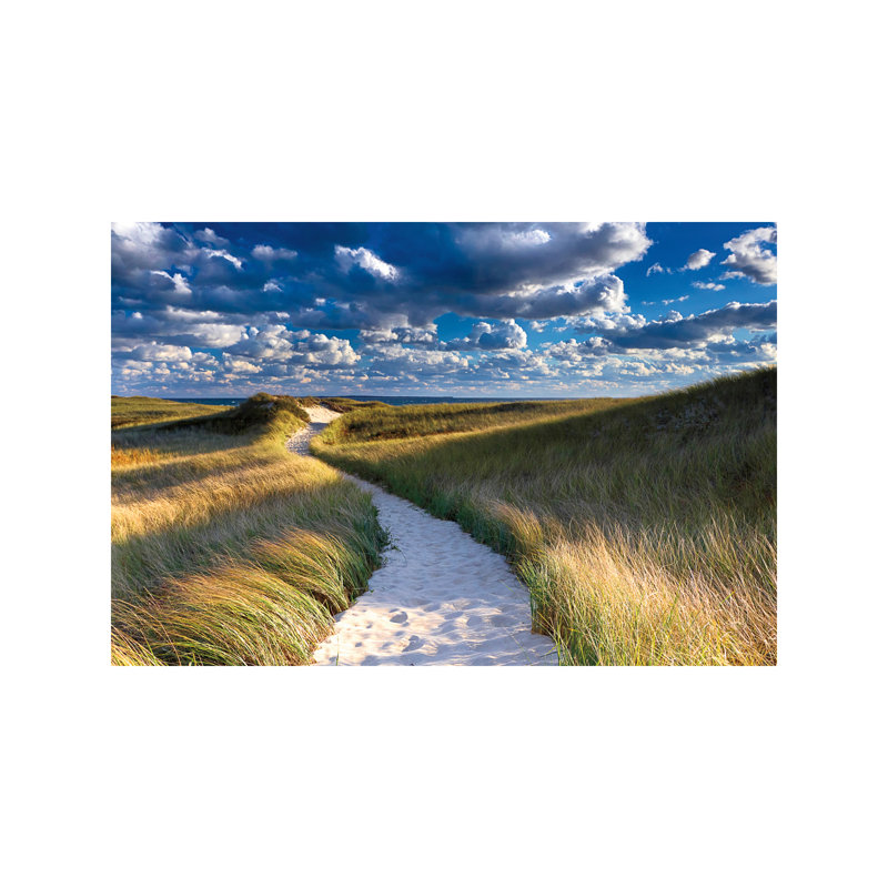 Philbin Beach Path by Katherine Gendreau - Wrapped Canvas Print, 66.04 cm H x 45.72 cm W x 1.91 cm D
