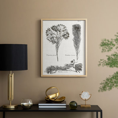 Protea on Linen I noir et blanc, reproduction encadrée - bois massif
