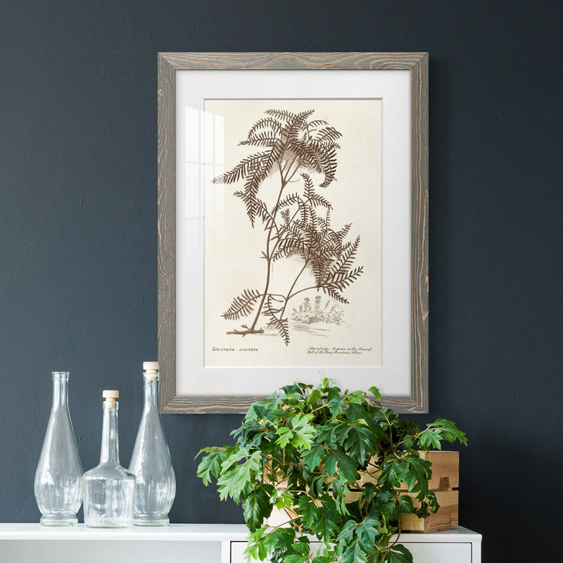 Sépia fougère Variétés III encadré mat - prêt à accrocher, H 43,5 po x l 31,5 po x P 1 po, Cadre gris