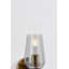 Rex 1 Light Wall Sconce