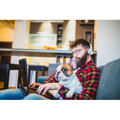 Vivre avec des animaux de compagnie par Nosystem Images
