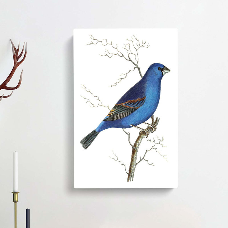 Blue Grosbeak Bird by George Shaw - Wrapped Canvas, 50cm H x 35cm W x 3cm D