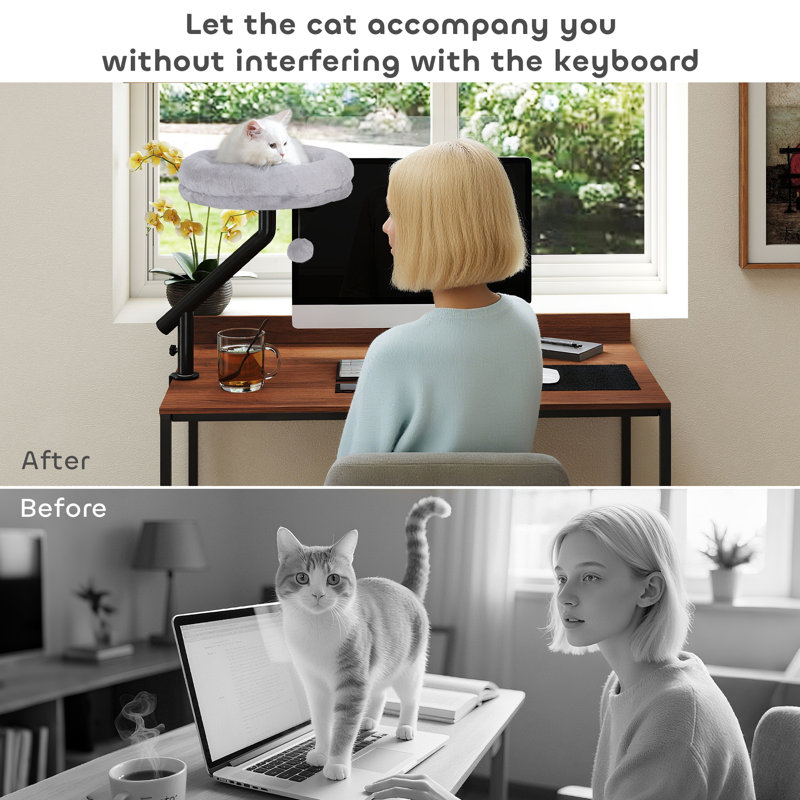 Pet Sofa