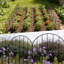 61cm H Decorative Black Garden Fence, No-Dig Metal Border for Flower Beds, Yard Edging and Light Pet Barrier-2035660095