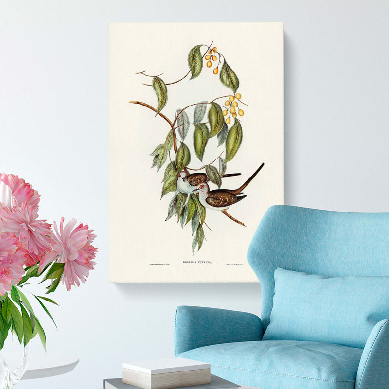 Graceful Ground Doves by Elizabeth Gould - Wrapped Canvas, 50cm H x 35cm W x 3cm D