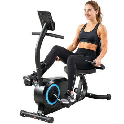 Magnetic Exercise Bike