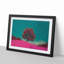 A Pink Tree in Malaga Spain in Abstract - Framed Print-55629374-55629375