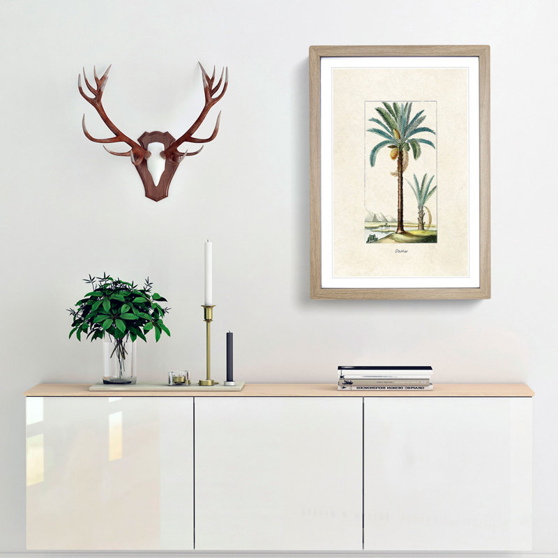 Illustration of a Date Palm Tree - Framed Print, 48cm H x 36cm W x 2cm D, Oak Framed