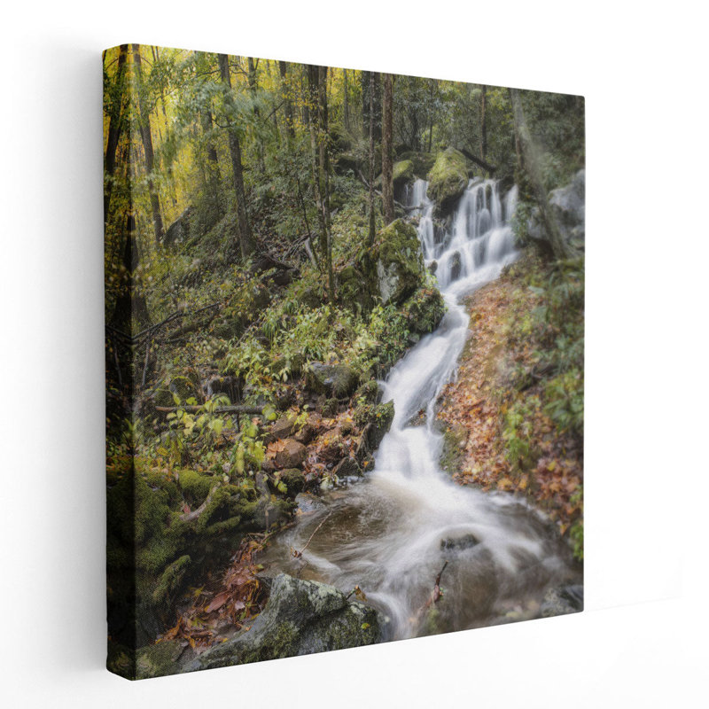 Roadside Falls - reproduction d'art sur toile, H 12 po x l 12 po