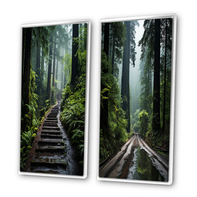 " USA Jedediah Smith Redwoods Forest " 2 - Pieces