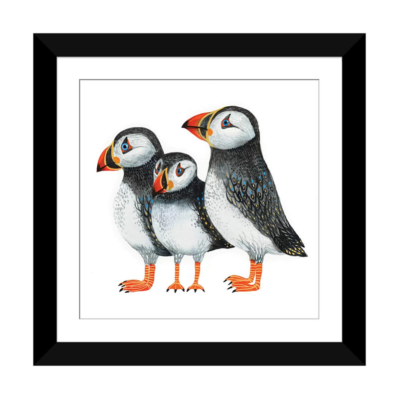 « puffins », reproduction sur toile, H 24 po x l 24 po x P 1 po, Papier avec cadre noir, Blanc