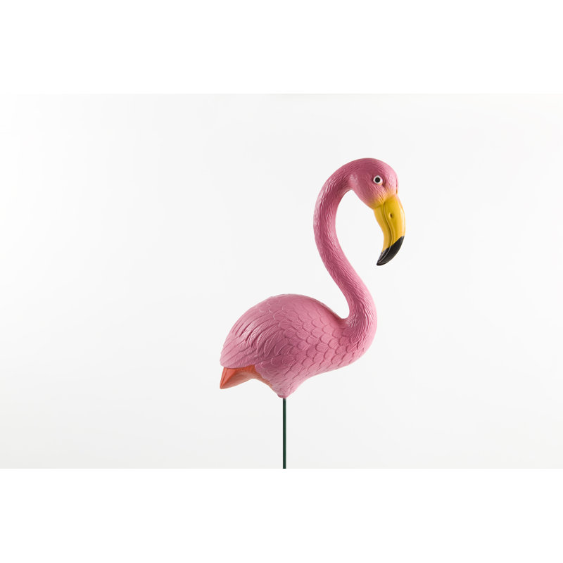 Flamingo On White Background - Wrapped Canvas Print, 30cm H x 46cm W x 3.8cm D