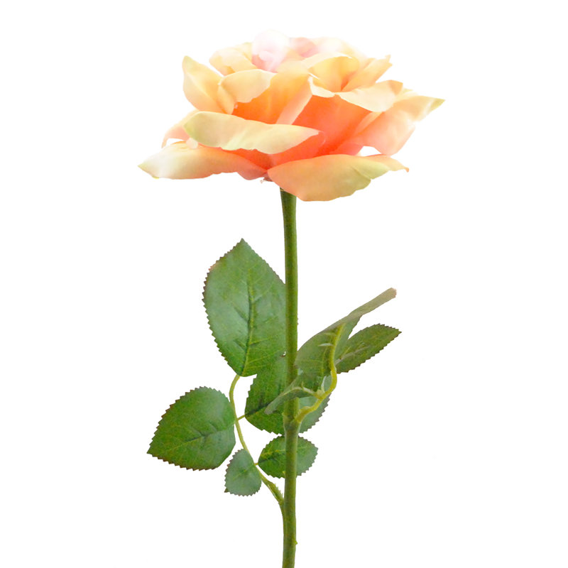 Rose Arrangement, Yellow
