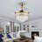 Giuseppa 42.12'' Ceiling Fan with LED Lights
