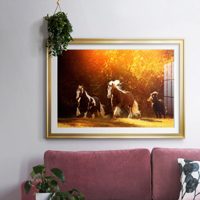 " Horse Motion V "